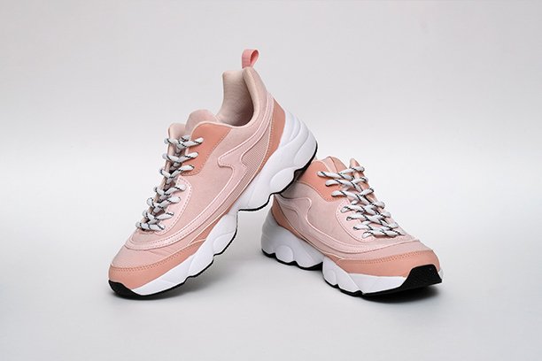 Female Shoes Modern
